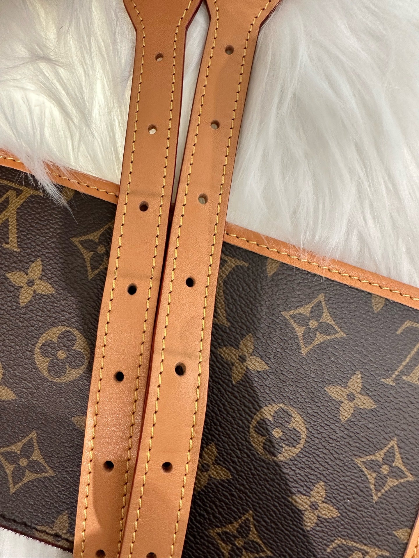 Louis Vuitton Crossbody