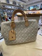 Louis Vuitton Gray