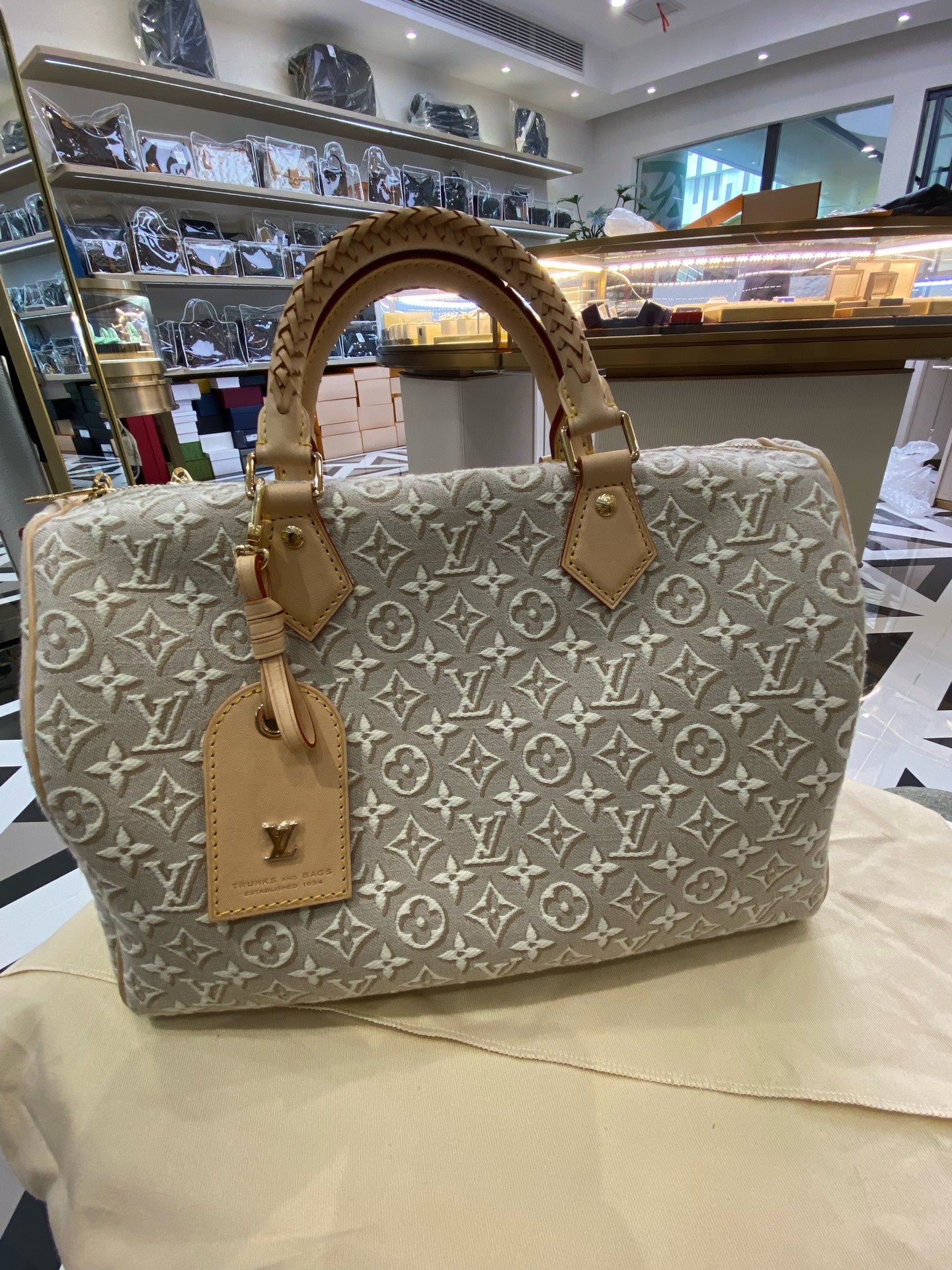 Louis Vuitton Gray