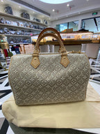 Louis Vuitton Gray