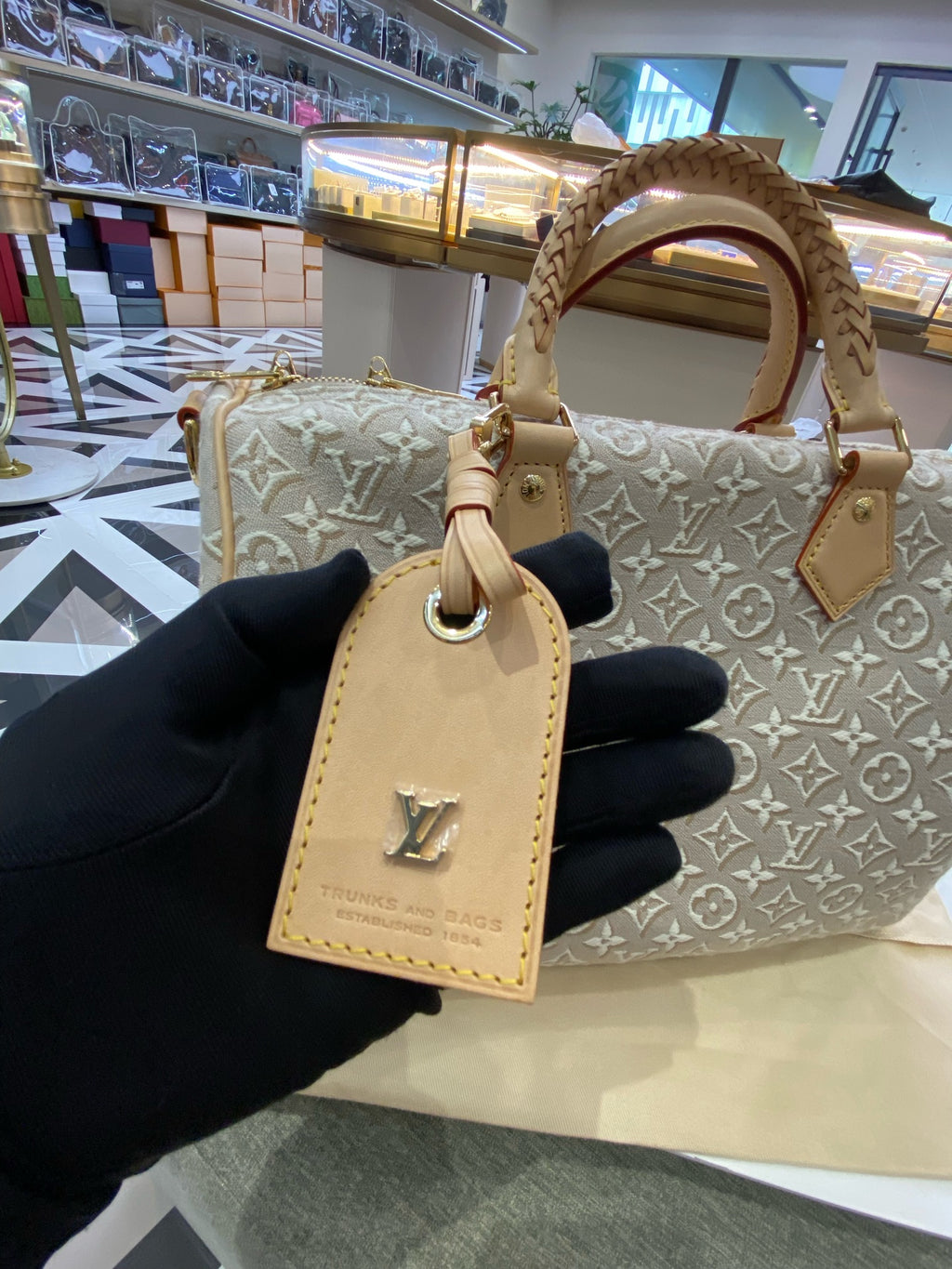 Louis Vuitton Gray