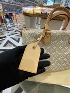 Louis Vuitton Gray