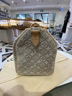 Louis Vuitton Gray