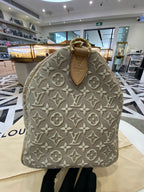 Louis Vuitton Gray