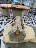 Louis Vuitton Gray