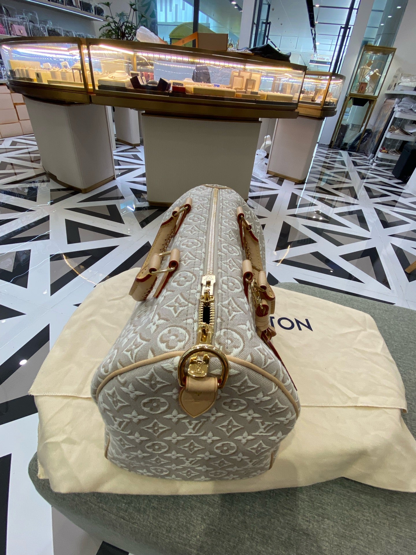 Louis Vuitton Gray