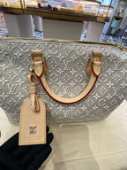 Louis Vuitton Gray