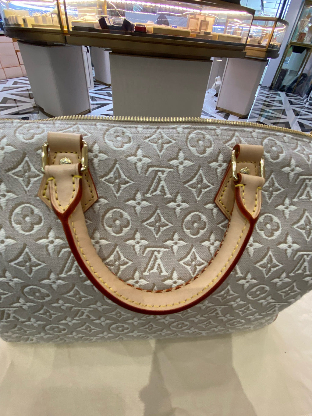 Louis Vuitton Gray