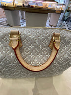 Louis Vuitton Gray