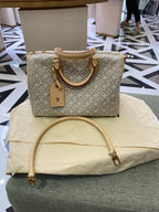 Louis Vuitton Gray
