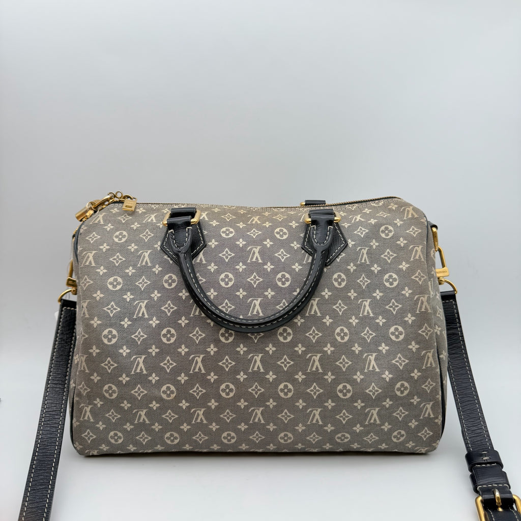 Louis Vuitton Gray