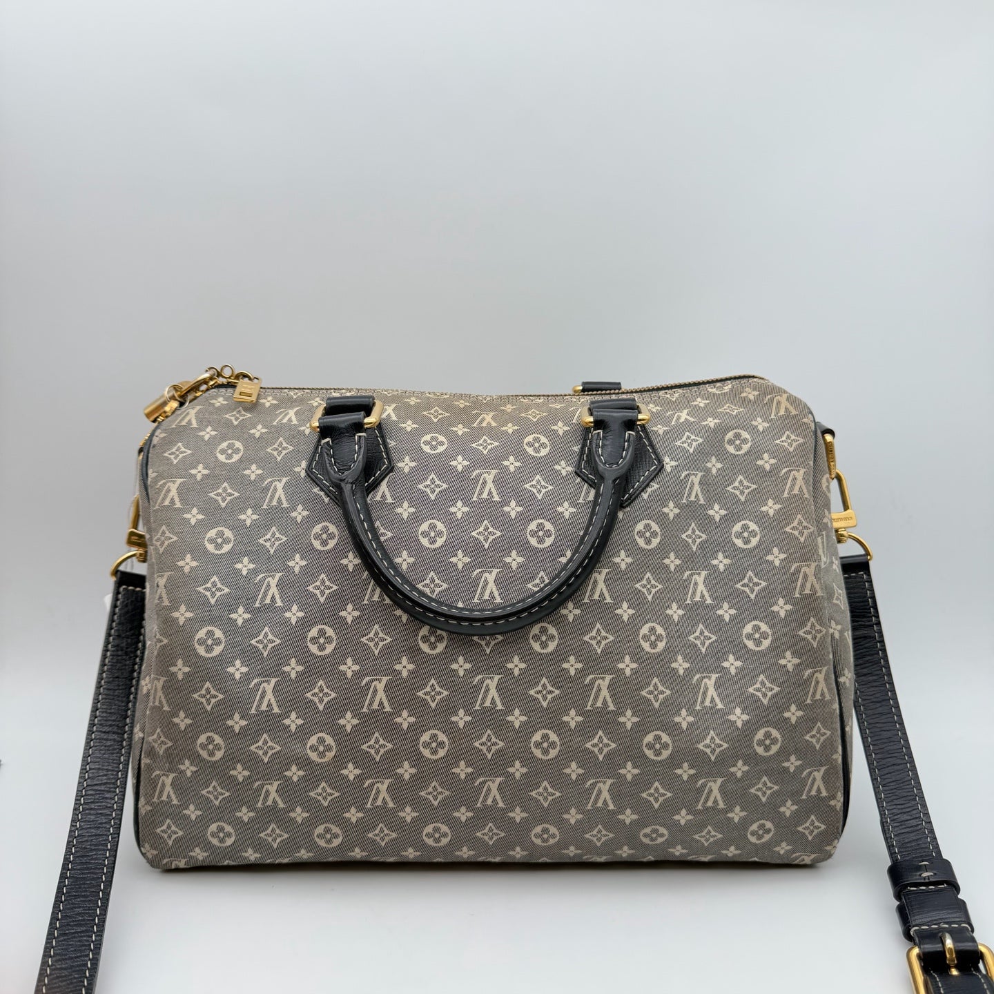 Louis Vuitton Gray