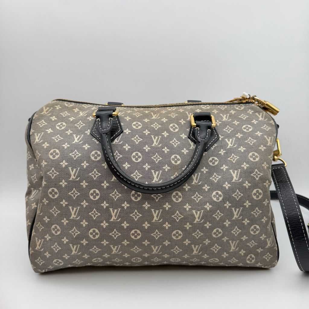 Louis Vuitton Gray