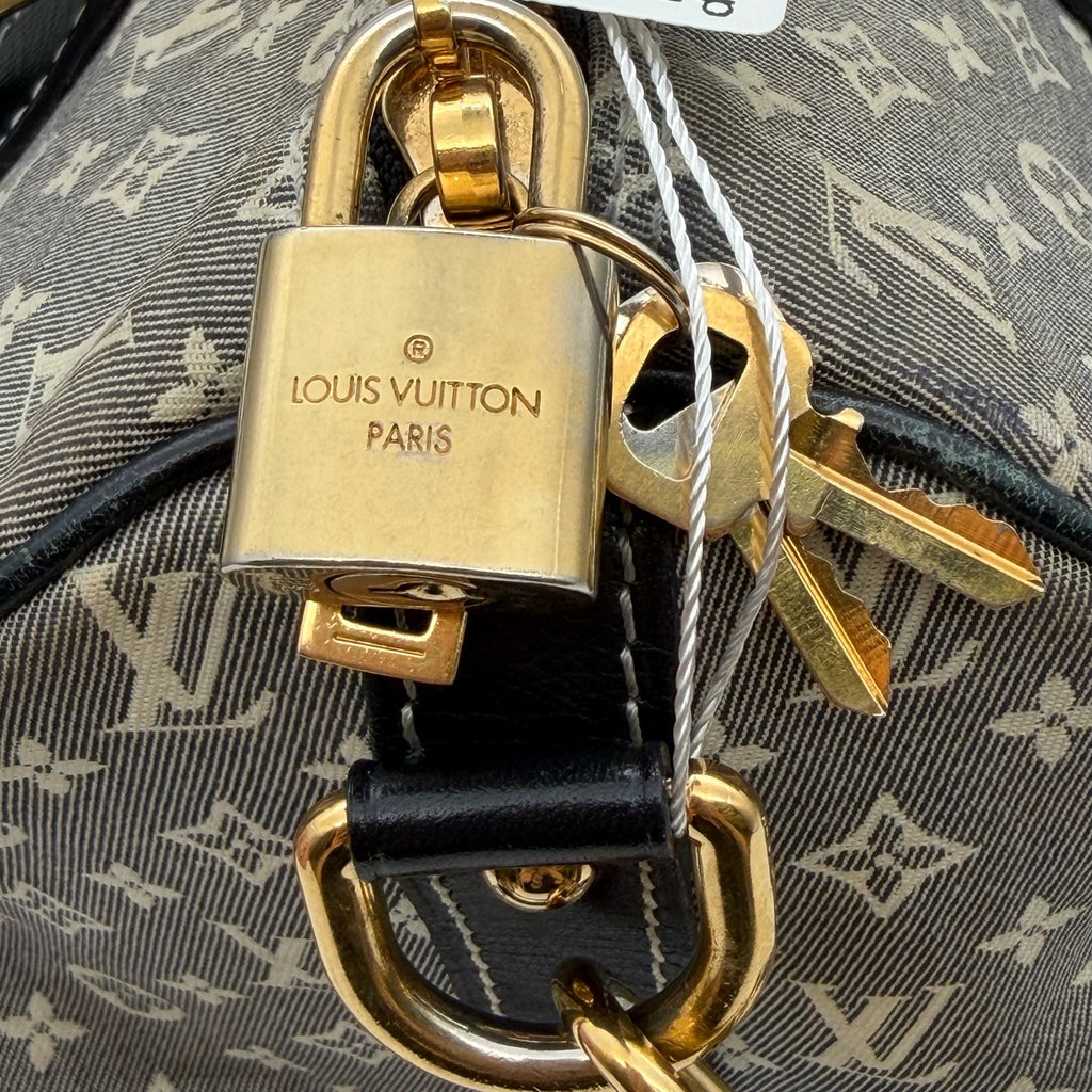Louis Vuitton Gray