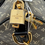 Louis Vuitton Gray