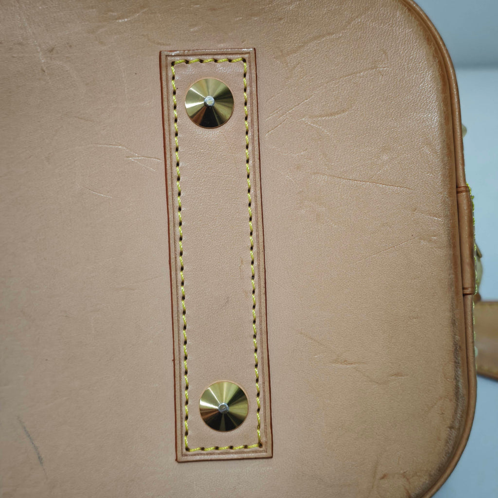 Louis Vuitton Canvas