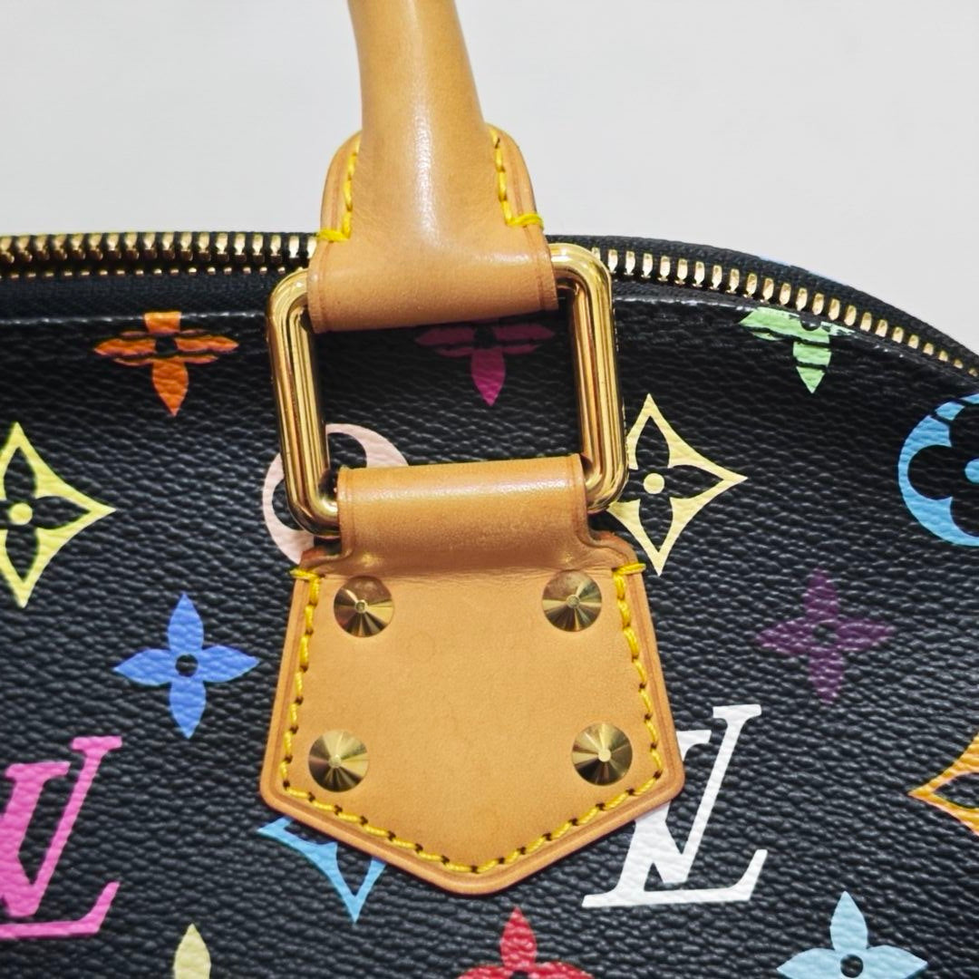 Louis Vuitton Canvas
