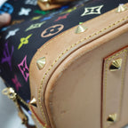 Louis Vuitton Canvas