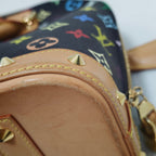 Louis Vuitton Canvas