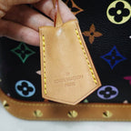 Louis Vuitton Canvas