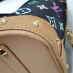 Louis Vuitton Canvas