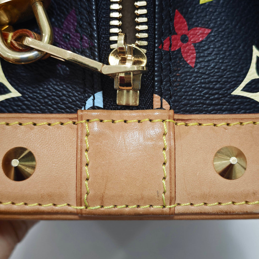 Louis Vuitton Canvas