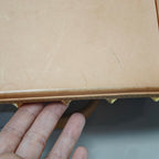 Louis Vuitton Canvas