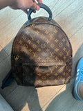 Louis Vuitton Backpack