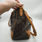 Louis Vuitton Canvas
