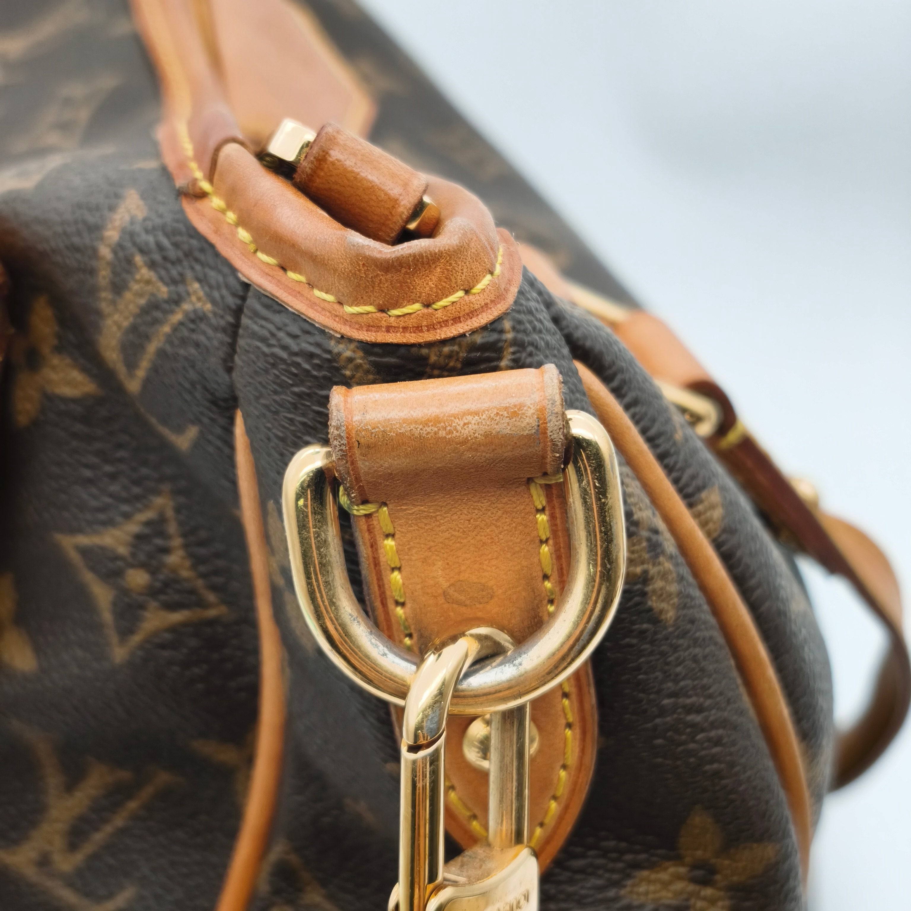 Louis Vuitton Canvas