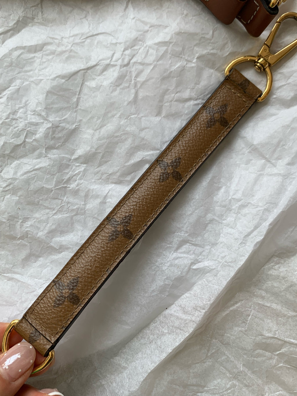 Louis Vuitton Messenger Bag