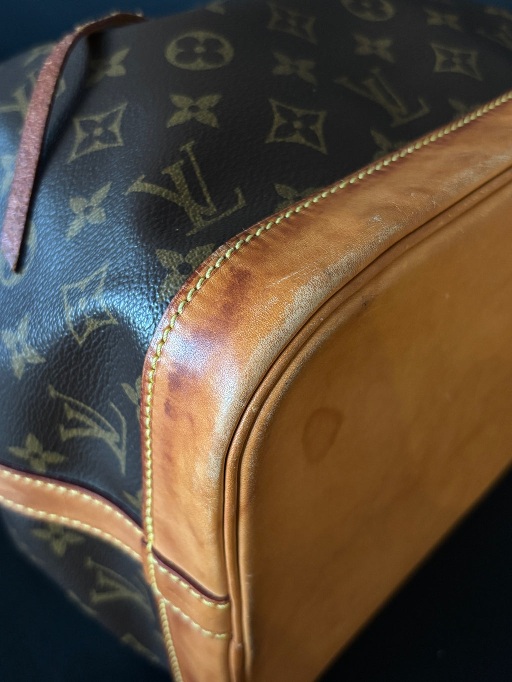 Louis Vuitton Bucket & Drawstring Bag