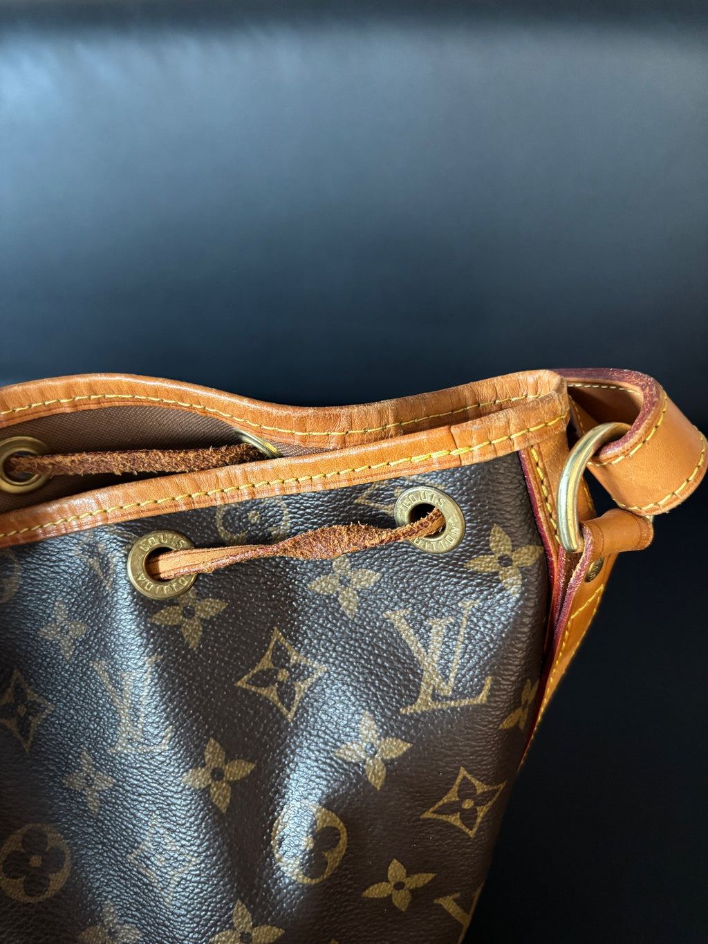 Louis Vuitton Bucket & Drawstring Bag