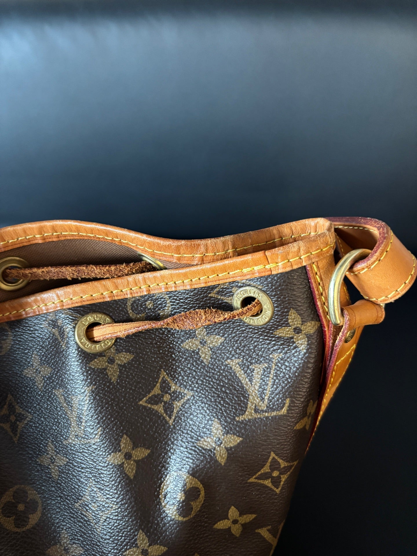 Louis Vuitton Bucket & Drawstring Bag