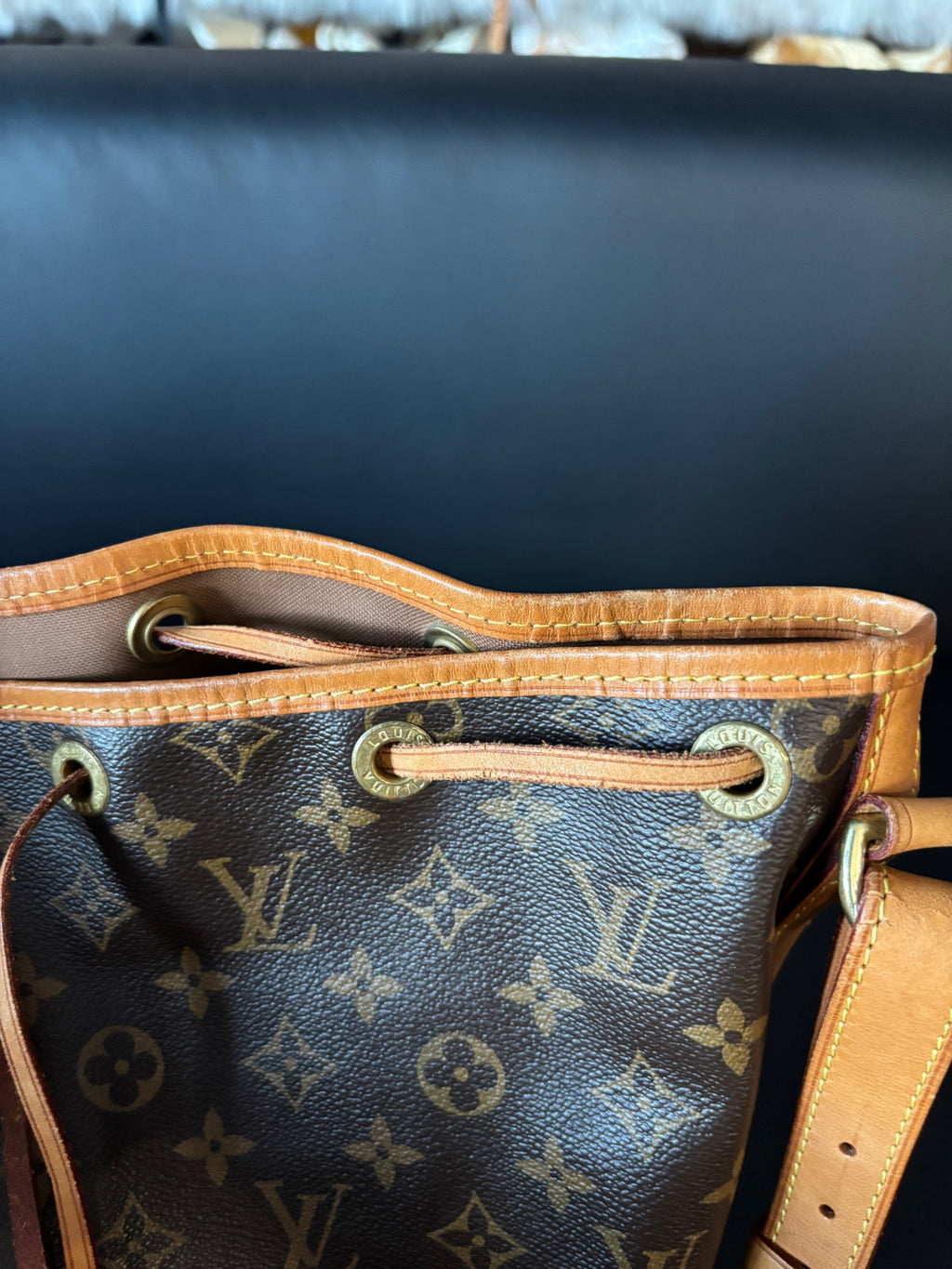 Louis Vuitton Bucket & Drawstring Bag