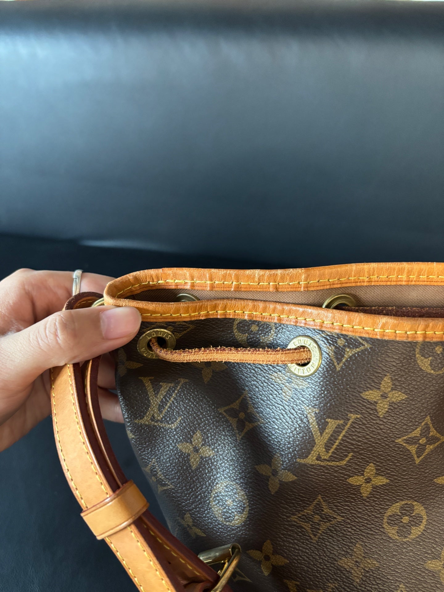 Louis Vuitton Bucket & Drawstring Bag