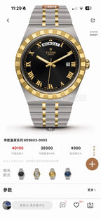 Tudor Tudor Royal Collection Silver Automatic (self-winding) watch 41 millimeters m28603-0003