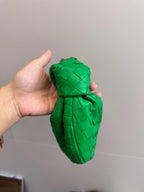 Bottega Veneta Green Satchel