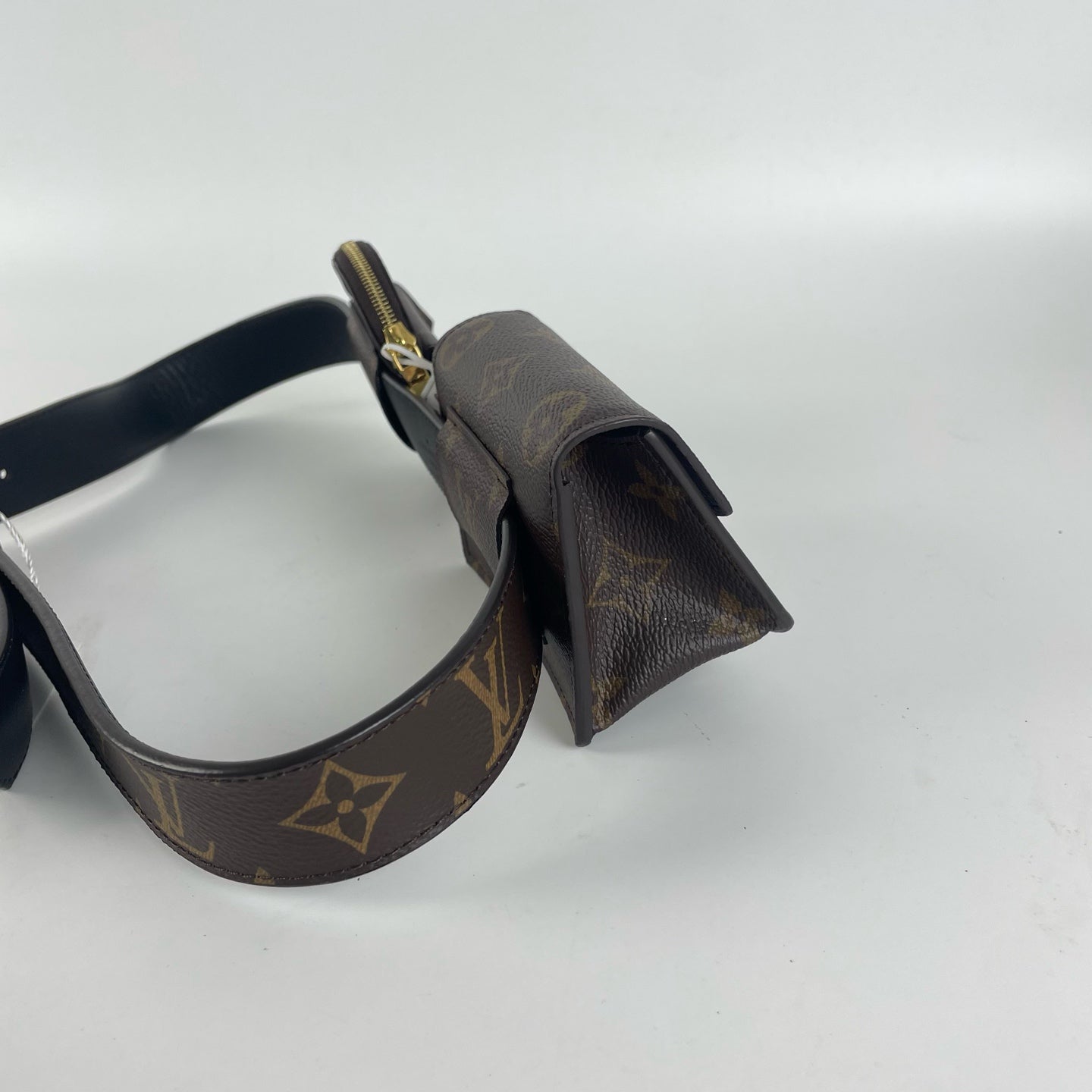 Louis Vuitton Belt Bag & Fanny Pack