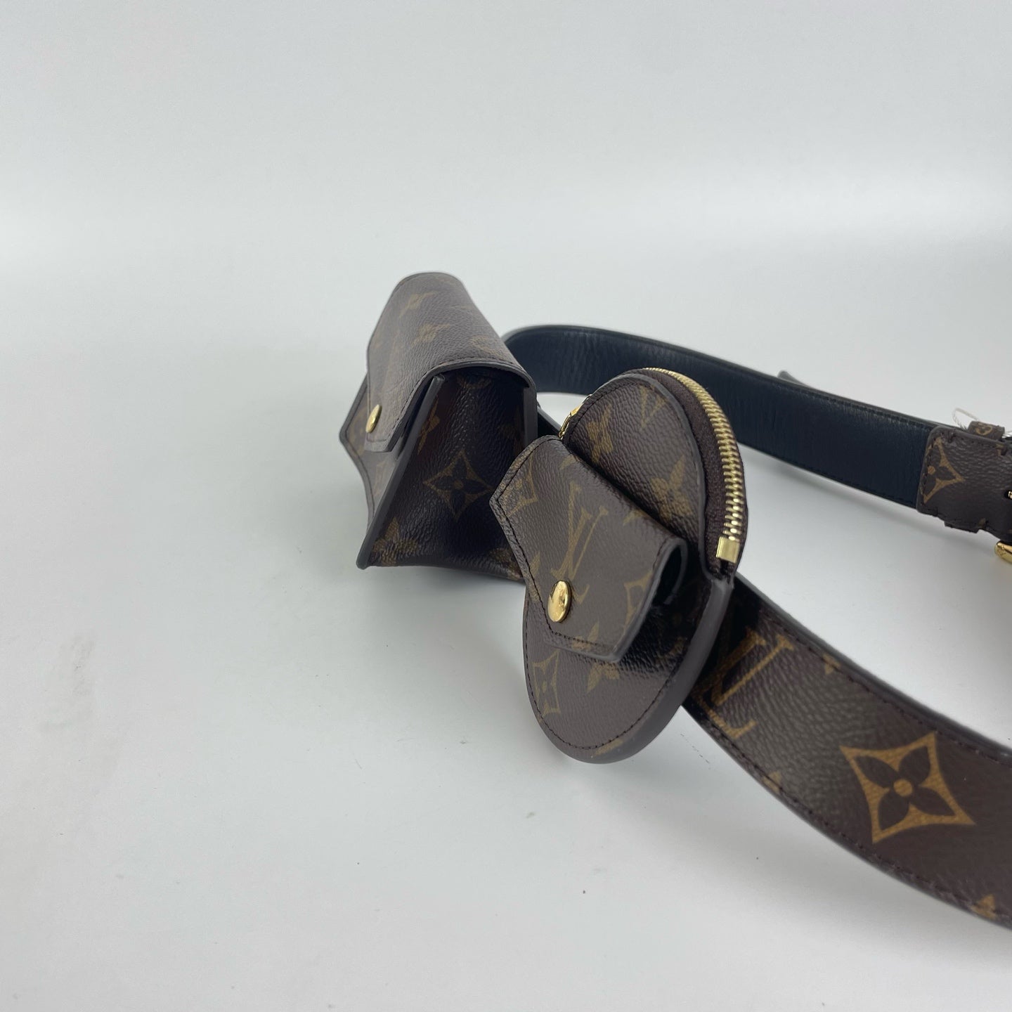 Louis Vuitton Belt Bag & Fanny Pack
