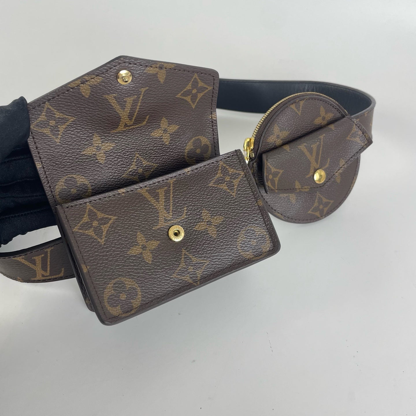 Louis Vuitton Belt Bag & Fanny Pack