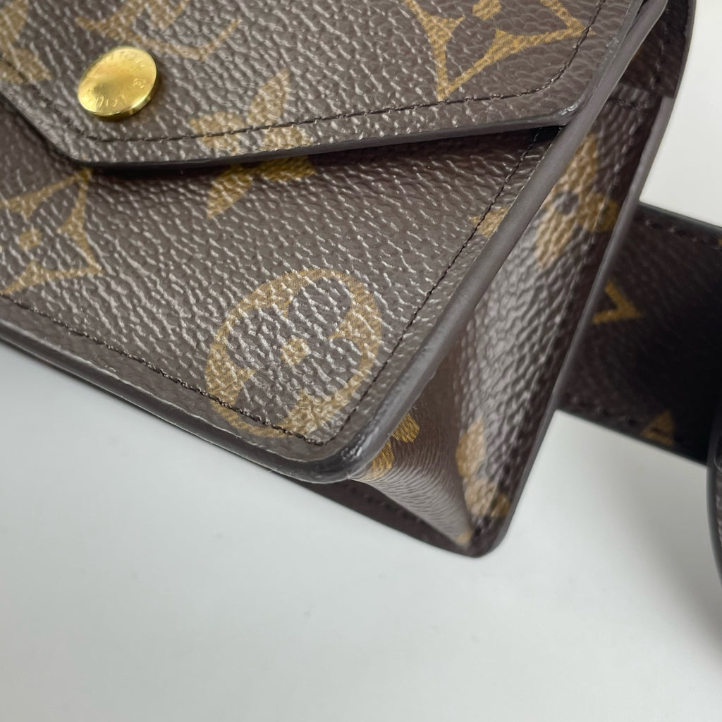 Louis Vuitton Belt Bag & Fanny Pack