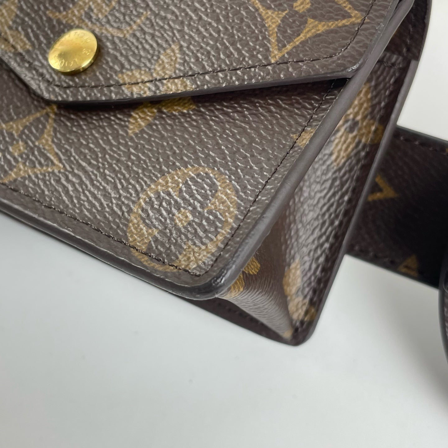 Louis Vuitton Belt Bag & Fanny Pack