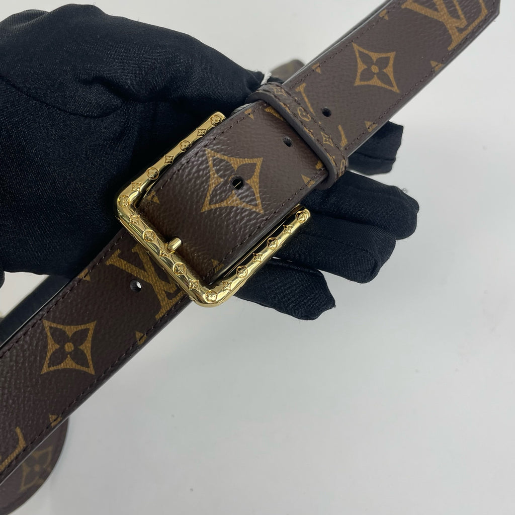 Louis Vuitton Belt Bag & Fanny Pack