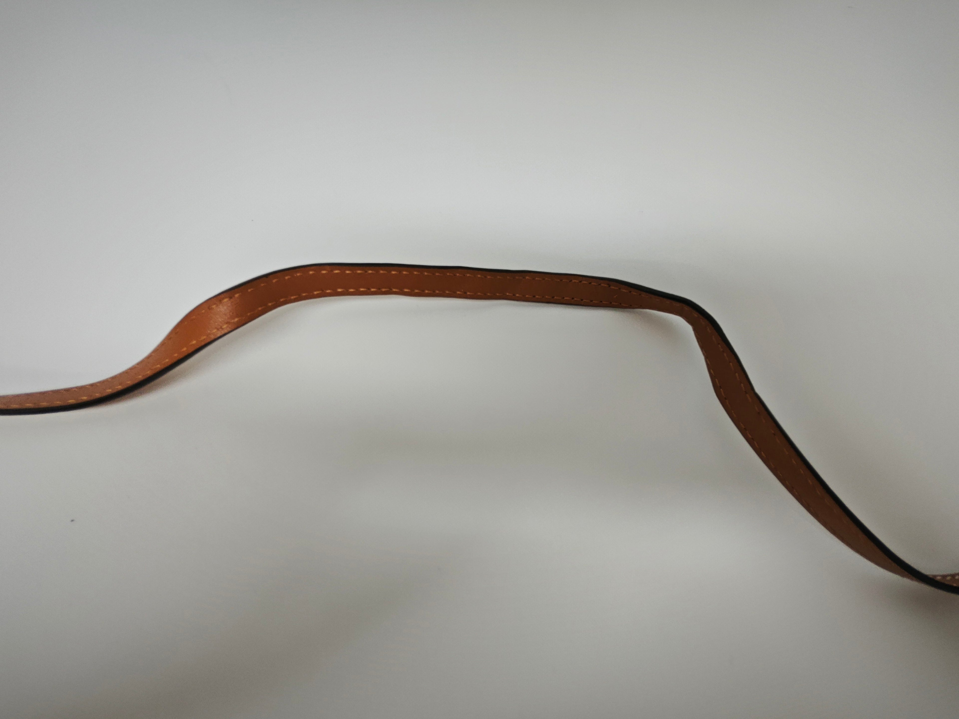 Loewe Brown Crossbody