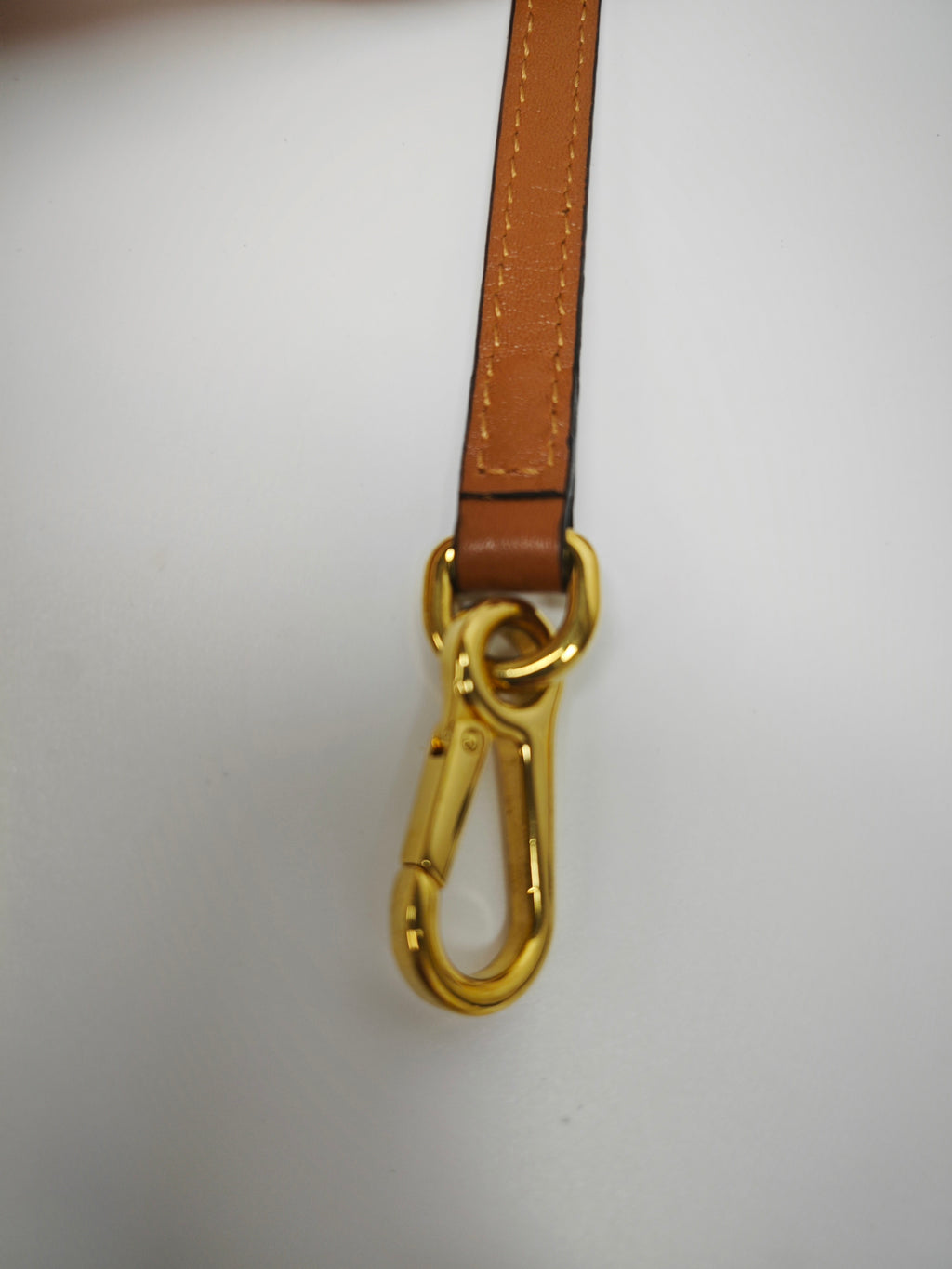 Loewe Brown Crossbody