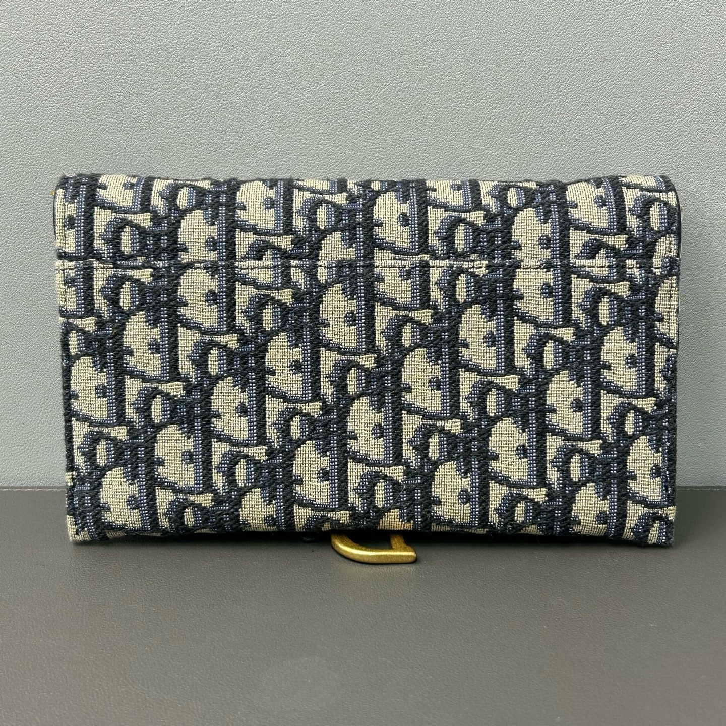 Dior Canvas Blue