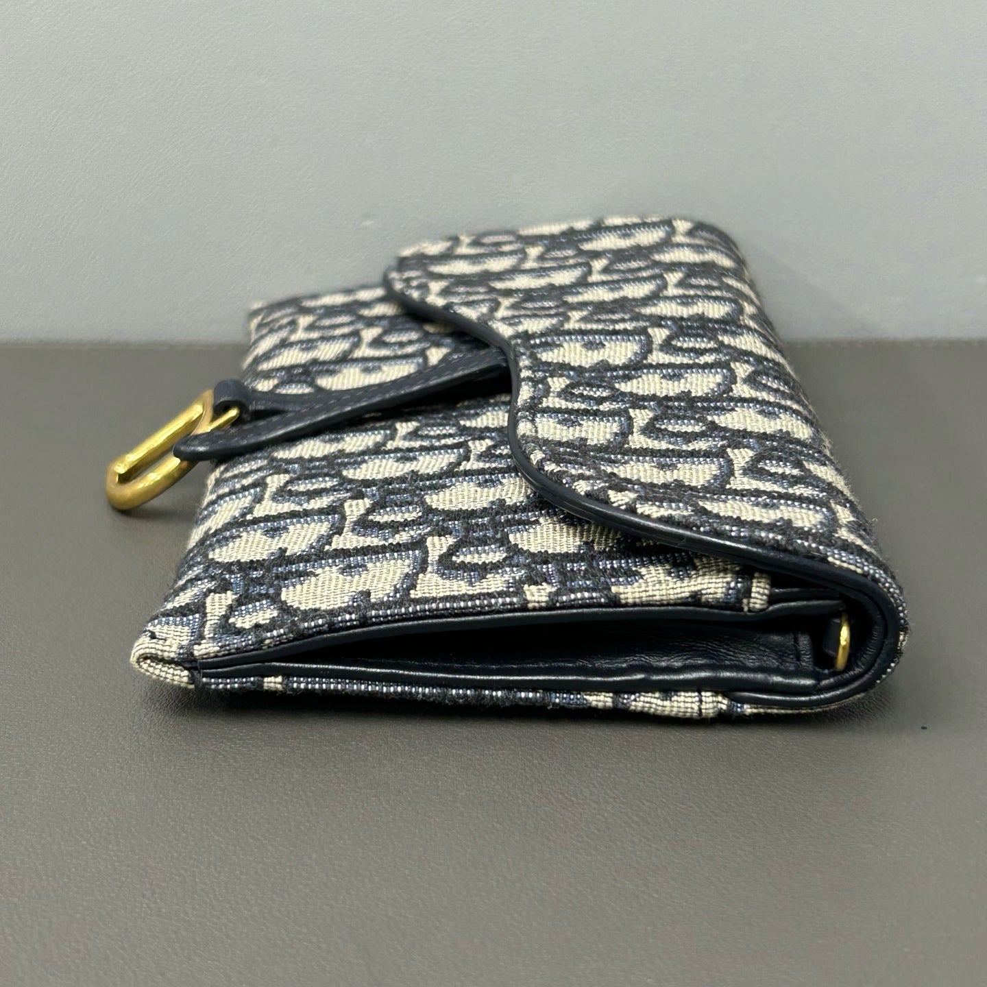 Dior Canvas Blue