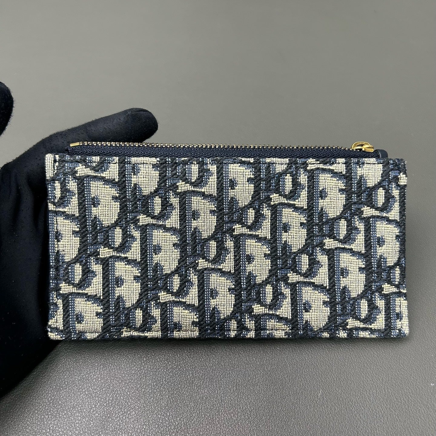 Dior Canvas Blue