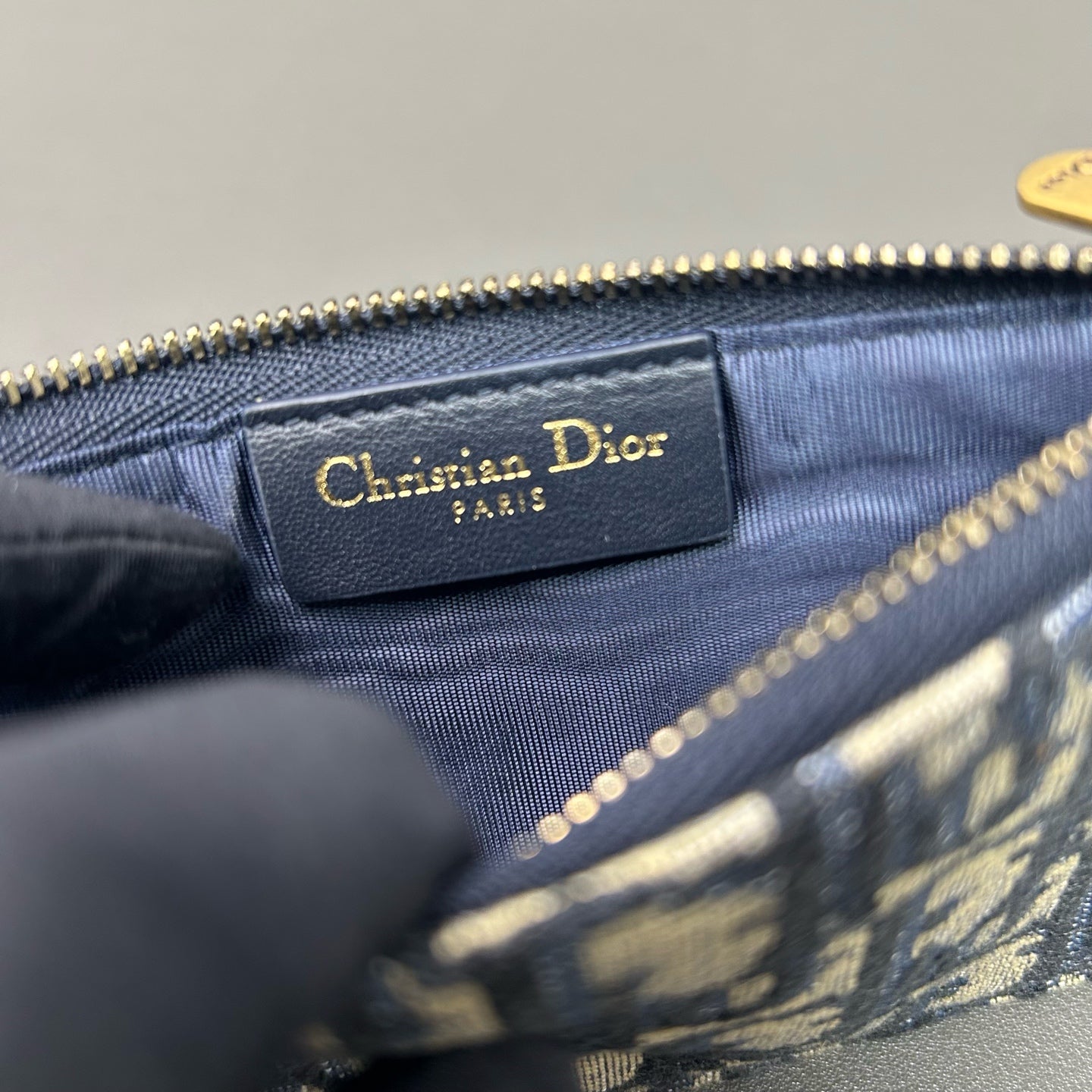 Dior Canvas Blue